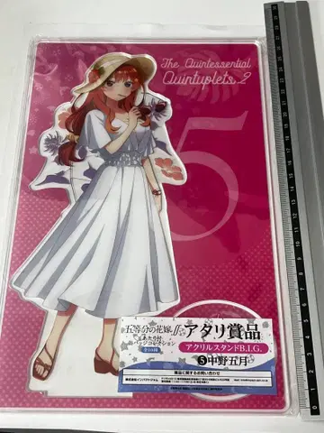 다섯 자매 아크릴 스탠드 당첨 복권 캔뱃지