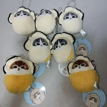 카키냥 푸냐푸냐 마스코트 7개 세트