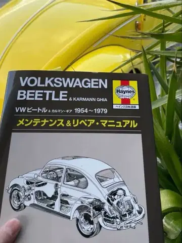 Volkswagen Beetle 관리 매뉴얼