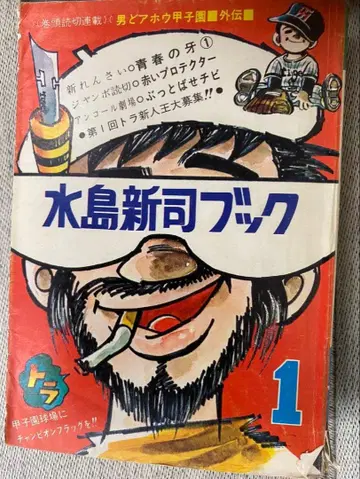 미즈시마 신지 북 세트 판매