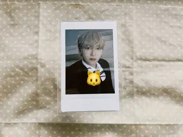 &TEAM 세카난 친필 사인 폴라로이드 YUMA 유마