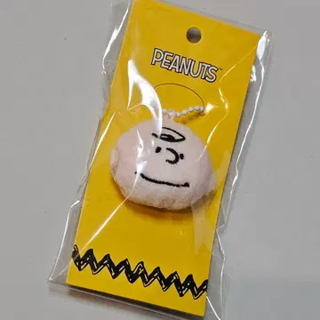 찰리 브라운 키링 한국