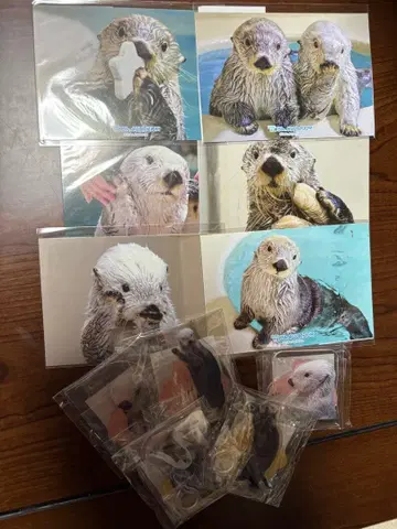 캡슐 복권 메이짱 복권 D상 E상 컴플리트 세트