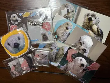 캡슐 복권 메이짱 복권 메이짱 세트 2