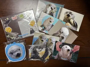 캡슐 복권 메이짱 복권 키라짱 세트