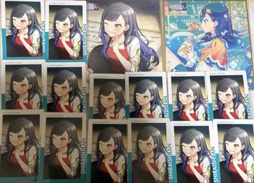 프로세카 시로이시 안 16점 묶음 판매 색지 에피카 비바버스