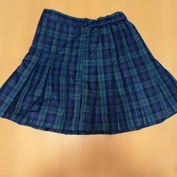 체크 무늬 플리츠 스커트