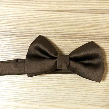 나비 넥타이 웨딩