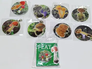 네이처 테크니컬러 FLAT 숲의 버섯 메탈 참 전 8종 세트