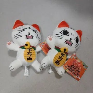 단다단  봉제 인형 터보바바아 (마네키네코)