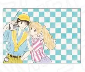 요시즈미 와타루 핸섬한 그녀 아크릴 보드