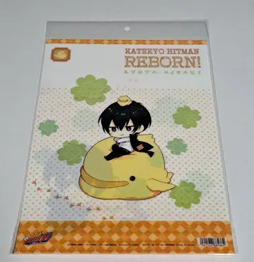 가정교사 히트맨 REBORN! 리본 클리어 파일 히바리 비버드