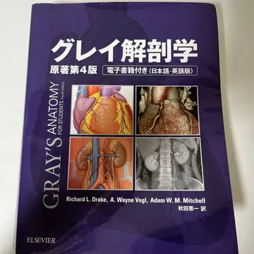 그레이 해부학 제4판