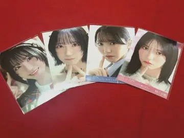 이코러브 브로마이드 노구치 이오리 묶음 판매