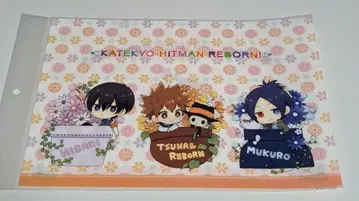 가정교사 히트맨 리본 클리어 파일 츠나 히바리 무쿠로