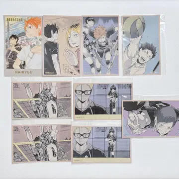 하이큐 메모리얼 컬렉션