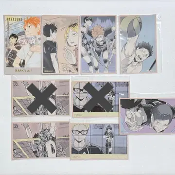 하이큐 메모리얼 컬렉션