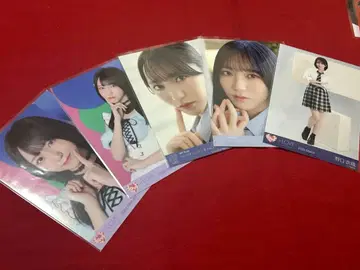 이코러브 브로마이드 노구치 이오리 묶음 판매