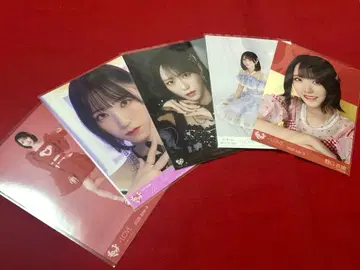 이코러브 브로마이드 노구치 이오리 묶음 판매