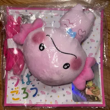 사토 타이키 멘프로 우파고로 패스 케이스