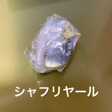 샤프리야르 은퇴 아이돌 호스 미니 컬렉션