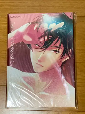 새상품 두근두근 메모리얼 Girl's Side Artworks