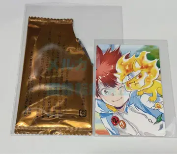 가정교사 히트맨 REBORN! 사와다 츠나요시 셀카풍 츠나 너트