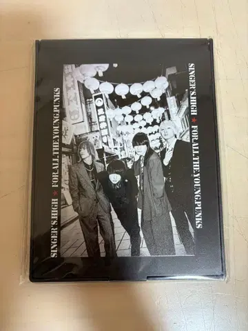 싱어즈 하이 거울 미러