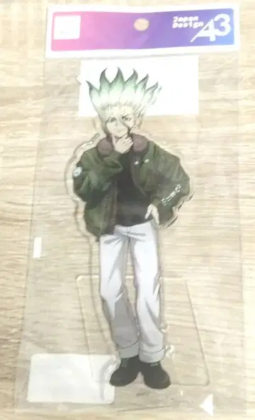 닥터 스톤 이시가미 센쿠 아크릴 스탠드 플라이트 자켓 eeo