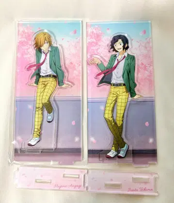 겁쟁이 페달 테시마 준타 아오야기 하지메 T2 사쿠라카제 아크릴 스탠드