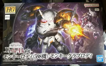 HG 몽키 로디 (598기)