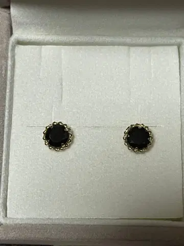 스카라베 스터드 귀걸이