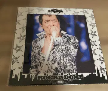 야자와 에이요시 파이버 크로스