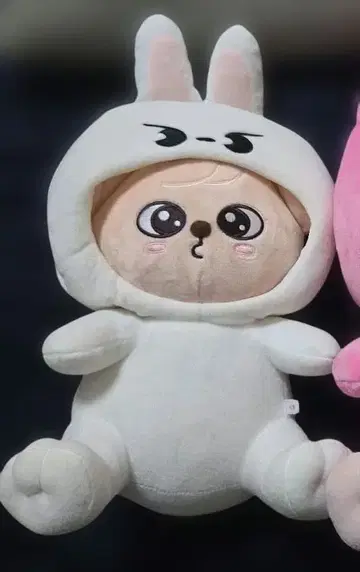 straykids 스키즈 SKZOO 퍼핌 안고 다니는 봉제 인형