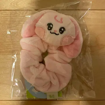 NCTDREAM 재민 Dreamiez 응원봉 스크런치 kkyuping