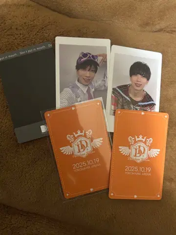 나나 크로니클 나나로르 하피카 DDP 트레이딩 카드