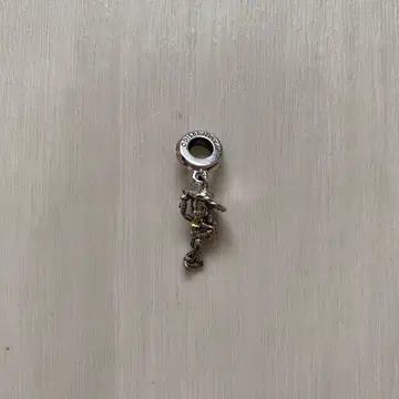 PANDORA Jessie 제이시 참