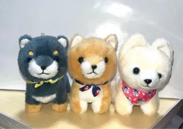 콩시바 삼형제 봉제 인형 마스코트 일본의 화 사스케 마메지로 마메타로