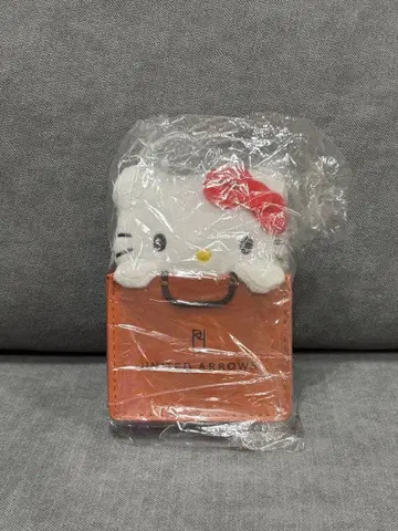 HELLO KITTY x UNITED ARROWS 참