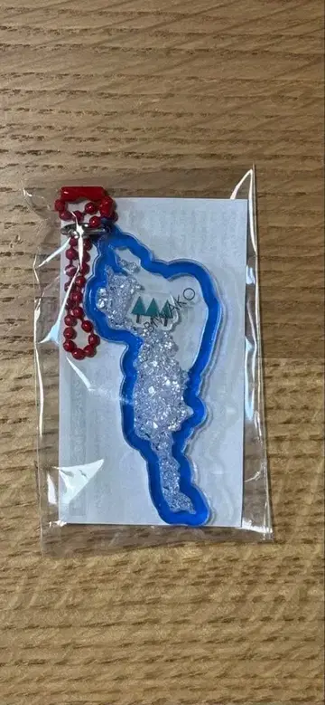 BIWAKO  키링 마키노 휴게소 한정판 메타세쿼이아