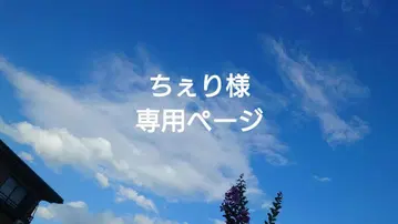 롱 L자 지퍼 지갑 리버티 라미네이티드 스트로베리 시프 네이비