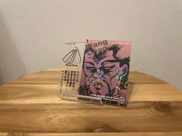 죠죠 리얼 페인트 시트 wang chan