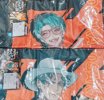 사사라 레이 비주얼 타월