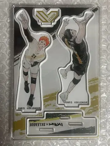 하이큐 SV 리그 아크릴 스탠드 카게야마 토비오 히나타 쇼요