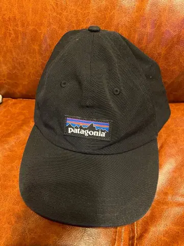patagonia 블랙 야구 모자