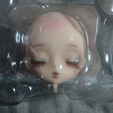 Harmonia bloom (Nepeta) 커스텀 헤드 하르모니아블룸