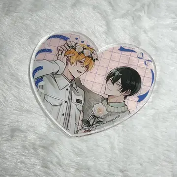 [ BL ] [ 아메이로 ] 자라메 상어 코스터