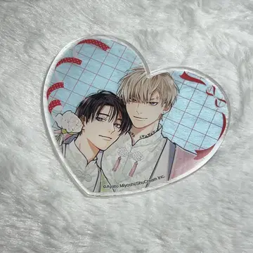 [ BL ] [ 아메이로 ] 미요시 아야토 코스터