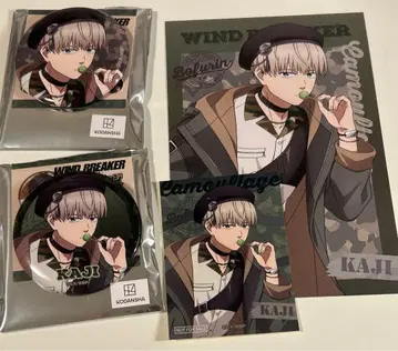 윈브레 츠리비레 콜라보 카지