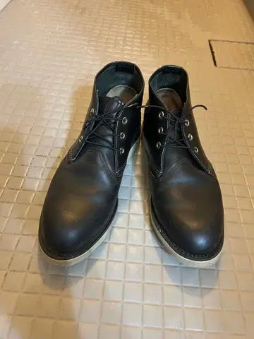 레드윙 3148 단종 10 워크 차카